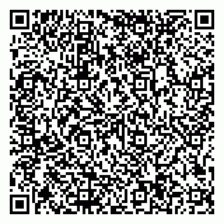 vCard 79997104381