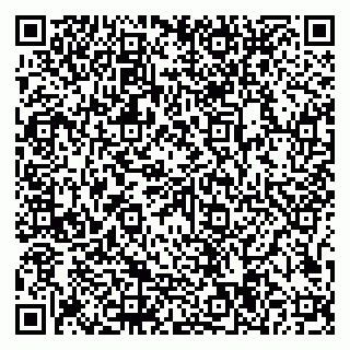 vCard 79997104393