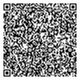 vCard 79997450221
