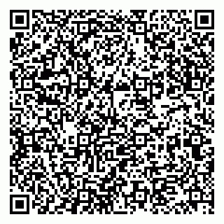 vCard 79997450319
