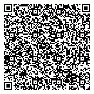 vCard 79997450387