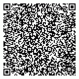 vCard 79997560293