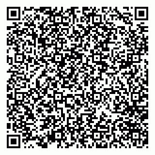 vCard 79997560295