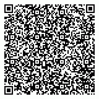 vCard 79997560303