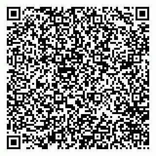 vCard 79997560385
