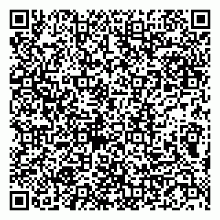 vCard 79997803095