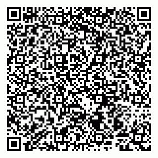 vCard 79997803131