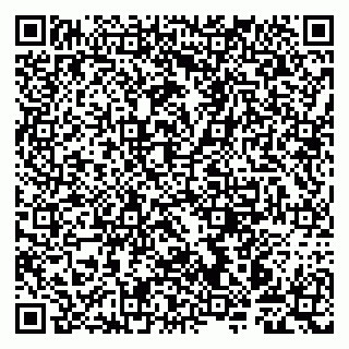 vCard 79997803147