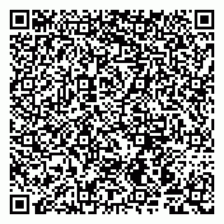 vCard 79997803303
