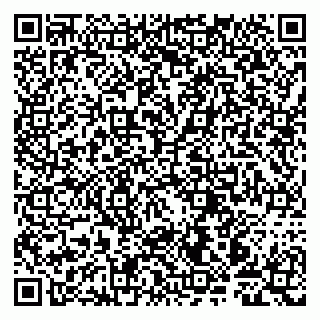 vCard 79997803852