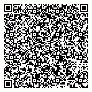 vCard 79997803874