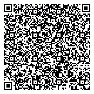 vCard 79997803987