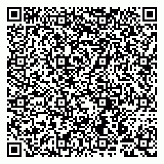 vCard 79997803988