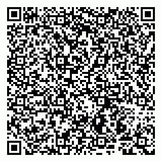 vCard 79997804069