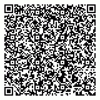 vCard 79997804084