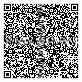 vCard 79997804108