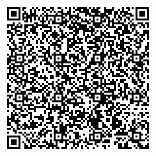 vCard 79997804117