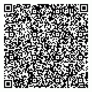 vCard 79998000739