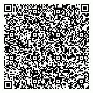 vCard 79998800294