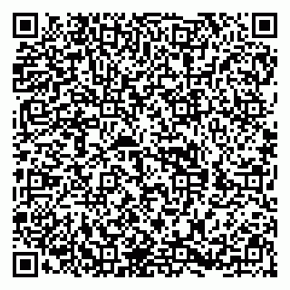 vCard 79998800319