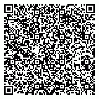 vCard 79998800331