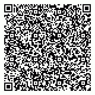 vCard 79998800334