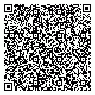 vCard 79999300028