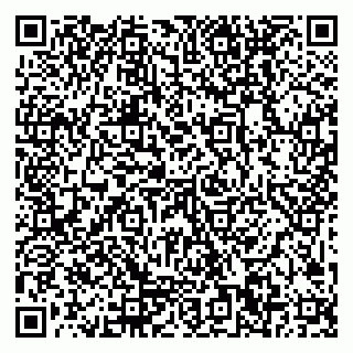 vCard 79999300029