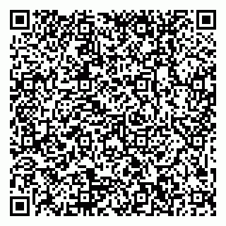 vCard 79999300041