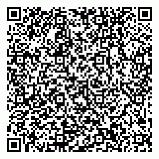 vCard 79999300046