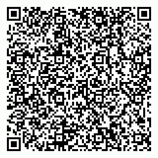 vCard 79999300047