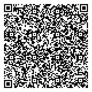 vCard 79999300049