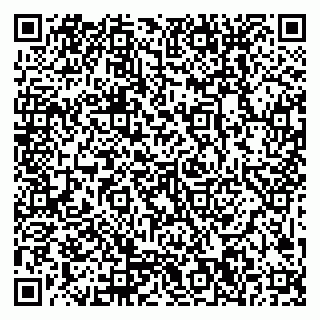 vCard 79999300053