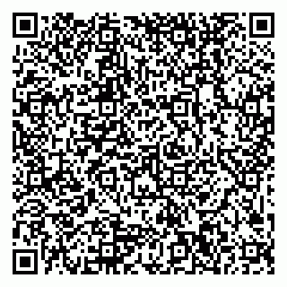 vCard 79999300063