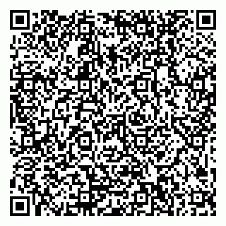 vCard 79999300065