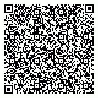 vCard 79999300067