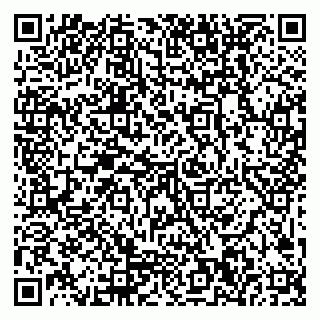 vCard 79999300082