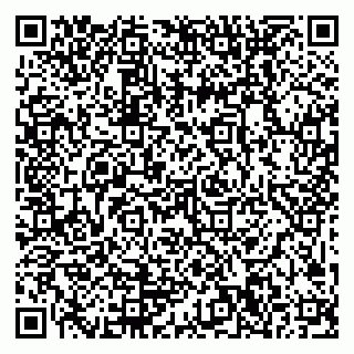 vCard 79999300083