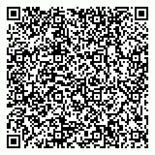 vCard 79999300085