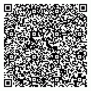 vCard 79999300087