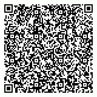 vCard 79999300099