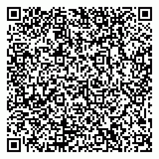 vCard 79999300217