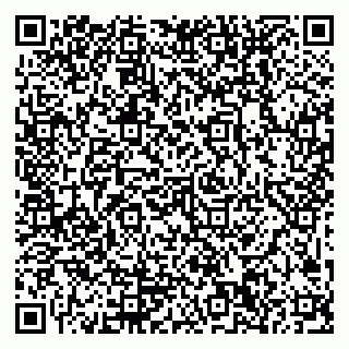 vCard 79999300294