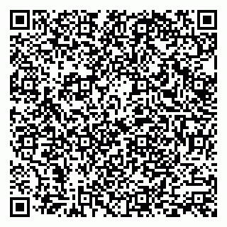 vCard 79999300331
