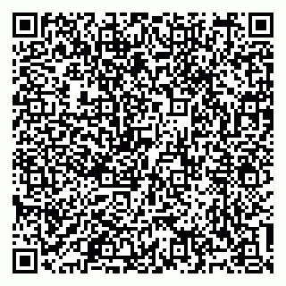 vCard 79999360374