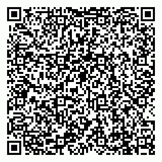 vCard 79999360394