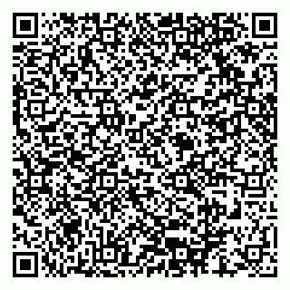 vCard 79999370173
