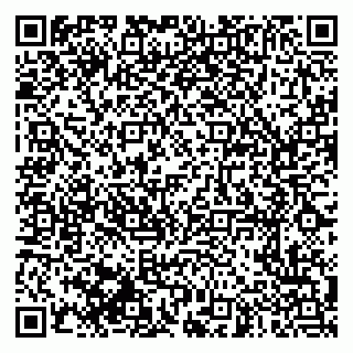 vCard 79999370405