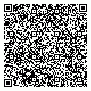 vCard 79999370529