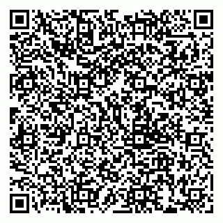 vCard 79999380008